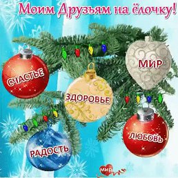 Has, ������, 55 ���