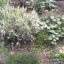 ���� ���������, �������� - ��������� 22 ������� 2025 � ������ �����