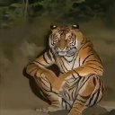 ���� ������, ������, 40 ��� - ��������� 10 ������� 2026 � ������ ���� ����������