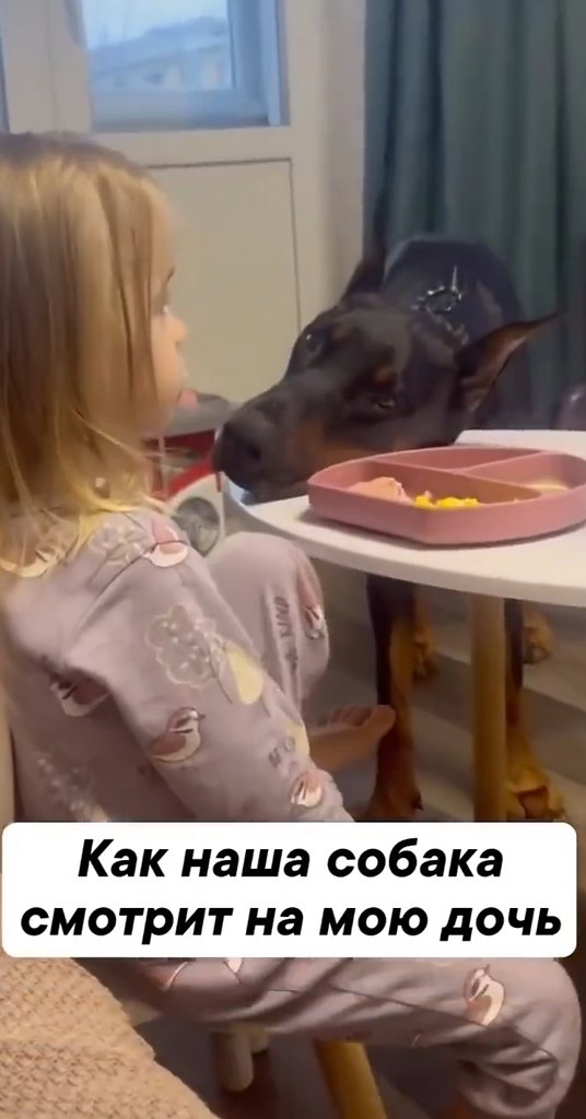    ,     - 2