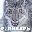 ���� &spades;Queen Of Swords&spades;, ���� - ��������� 2 ������ 2025 � ������ ������������� �����