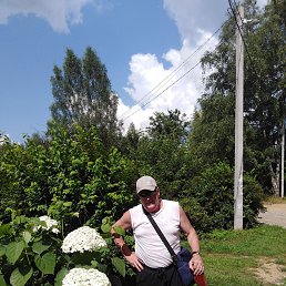 , 60 , 