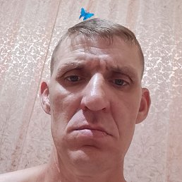 ������, ������, 46 ���
