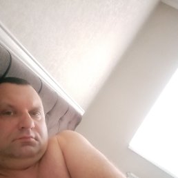 �������, 41 ���, ������