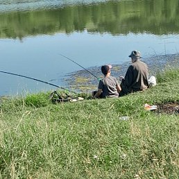 ���� �������� ��������, ����������, 58 ��� - ��������� 30 ��� 2025