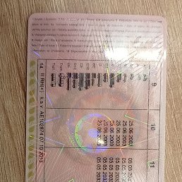 ���� ������, ������� ��������, 55 ��� - ��������� 28 ����� 2025