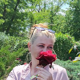 �������, ���������, 43 ����