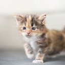 ���� )���������(, ��������� - ��������� 16 ������ 2023 � ������ ������ ��������