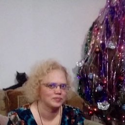 ����� ������, 43 ����, ���������