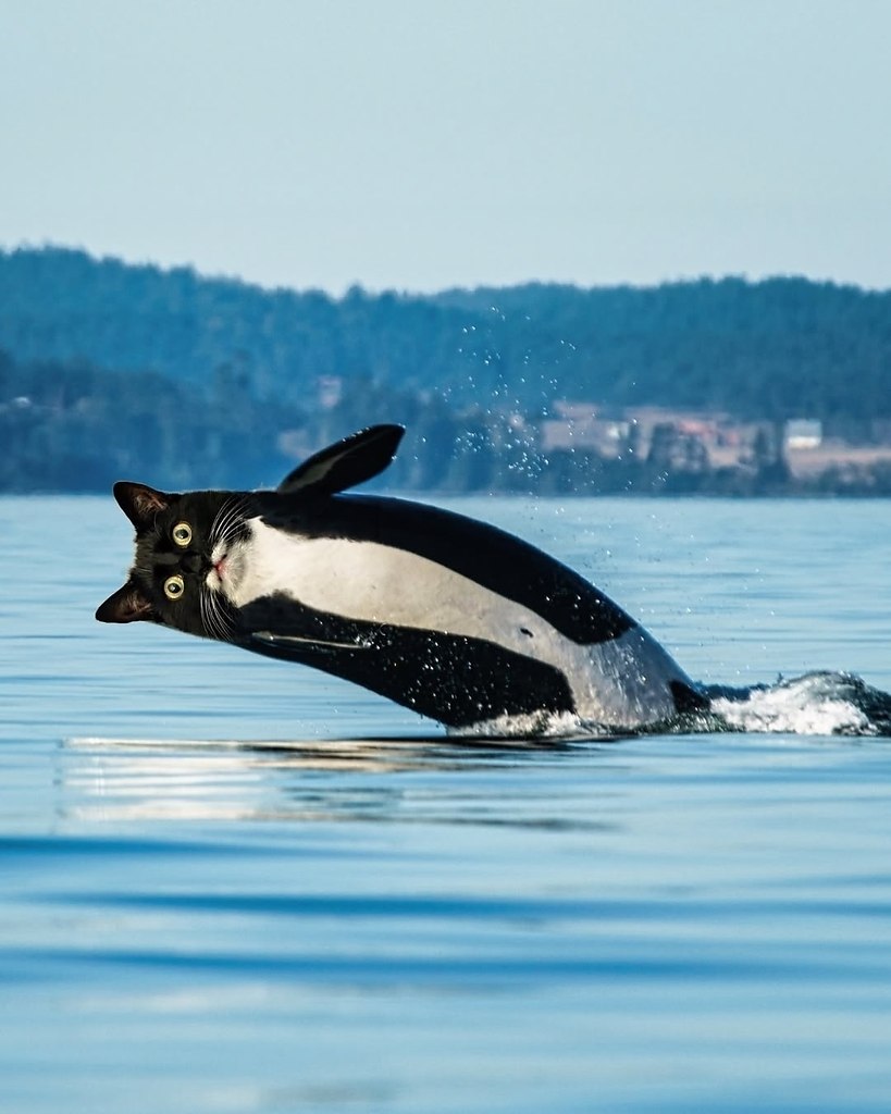 �����������, ���� �������� ������� ������� � ���� ������ � ��������� ������