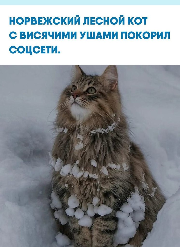 po���e �o�a�a� �op�e�c��� �ec�o� �o� c �eo����o� ��e��oc���: � �e�o ��c���e ���, ��o �e������o ��� ...