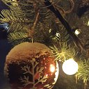 ���� �������, ������ - ��������� 17 ������� 2024 � ������ ���� ����������