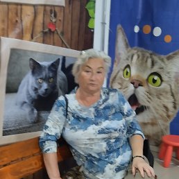 ���� ����, ������, 67 ��� - ��������� 1 ������ 2026