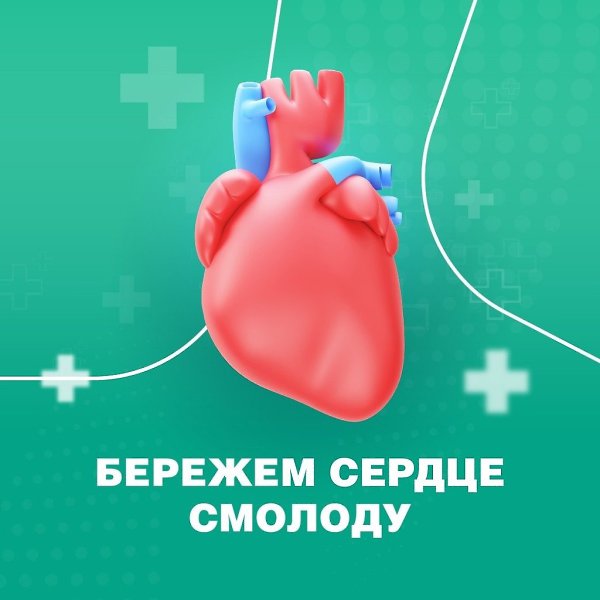 Человеческое сердце – удивительный аппарат.Оно начинает биться на втором месяце после зачатия, ...
