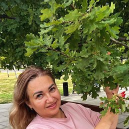 �����, ������, 51 ���