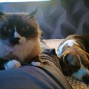 ���� �������, ������������, 43 ���� - ��������� 3 ������ 2026 � ������ ���� ����������