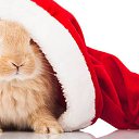 ���� �������, ������ - ��������� 29 ������ 2025 � ������ ������ ��������