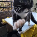 ���� Vladimir, ������, 68 ��� - ��������� 26 ������� 2023 � ������ ���� ������� ������ - ������!�