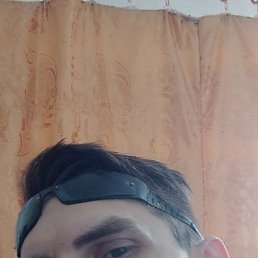 , 33, 