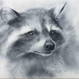 ��������, ������, 47 ���