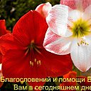  Valesa,  -  6  2025    