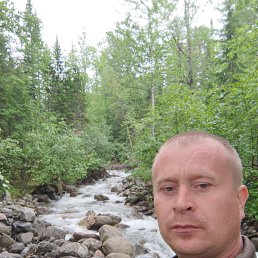 ������, 37 ���, ������