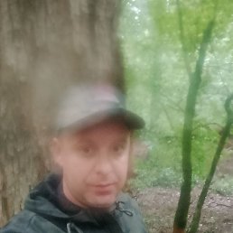 ����, ���������, 39 ���