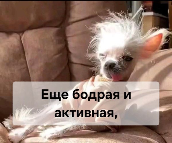   ,  ©  - 11  2025  21:12 - 2