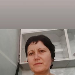 ���������, 40 ���, ����