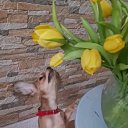 ���� �����, ������-���� - ��������� 13 ������ 2025 � ������ ������ ��������