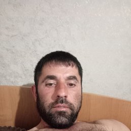 �����, 39 ���, �����