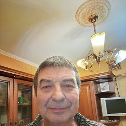 , 61, 