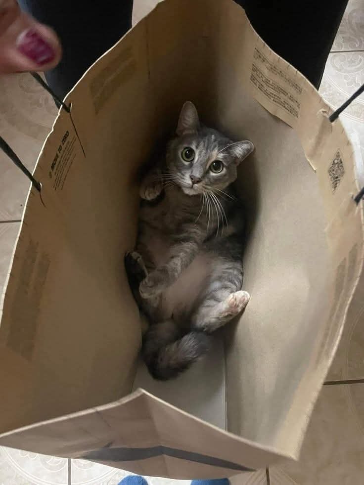 :) ,             ,    .  ...