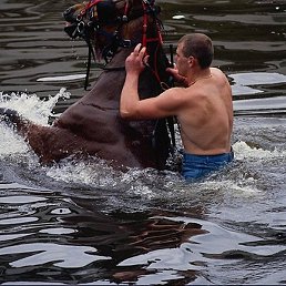 �����, ������������, 54 ����