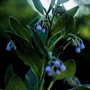 ���� �����, ������, 30 ��� - ��������� 28 ��� 2024