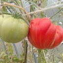 ���� ��������, ������, 59 ��� - ��������� 10 ������� 2024 � ������ ���� ����������