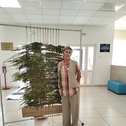 ������, ���������, 62 ����