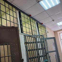 ���� �����, �������, 42 ���� - ��������� 21 ����� 2026