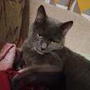 ���� �����, ����������� - ��������� 8 ������� 2025 � ������ ���� ����������