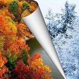 �������� ������, �������, 51 ���