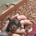 ���� ���, ������� - ��������� 15 ������ 2025 � ������ ������ ��������