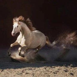 ���������, ������, 47 ���