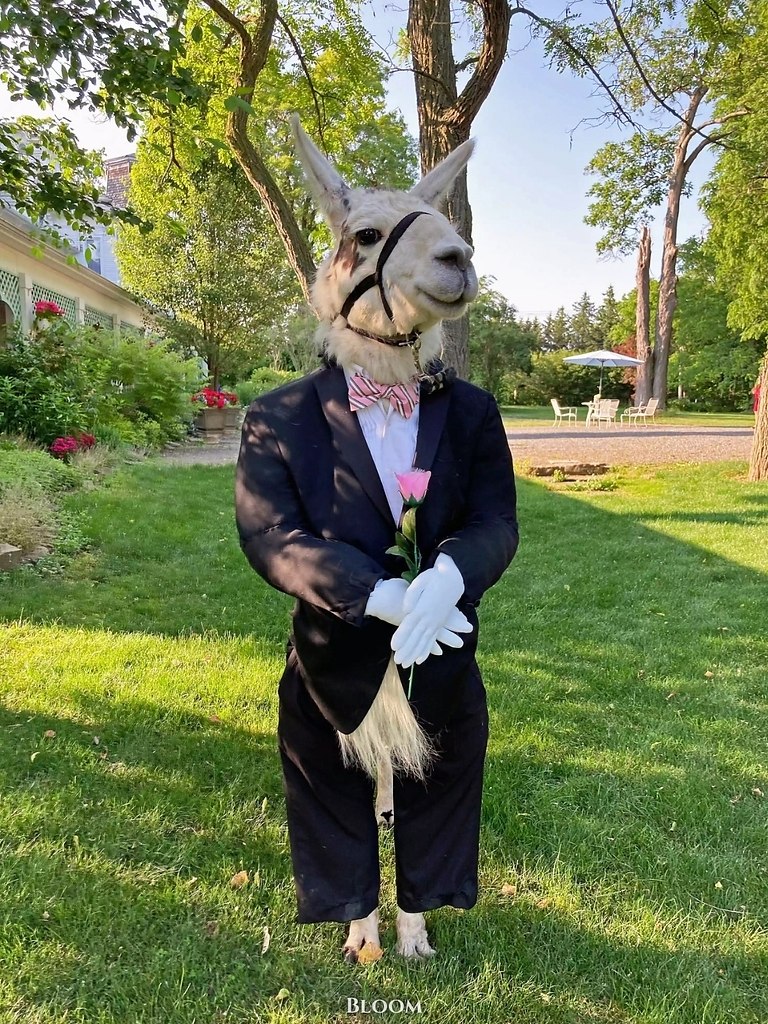  a.  o ap  po aepa a  oa aa  co aa aa, o c  aa ... - 4