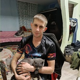 �������, 36 ���, ������������