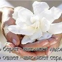 ���� ��ta, �����-��������� - ��������� 23 ������ 2025 � ������ ���� ����������