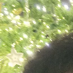 �������, ������������, 56 ���