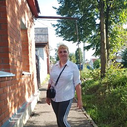 ����, 38 ���, ������