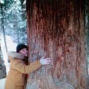 ���� ����, �����������, 60 ��� - ��������� 15 ����� 2025 � ������ ���� ����������