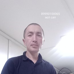 , 41, 