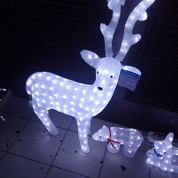���� �������, ������������, 44 ���� - ��������� 2 ����� 2025
